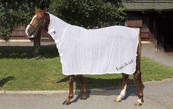 Unique Cooling System