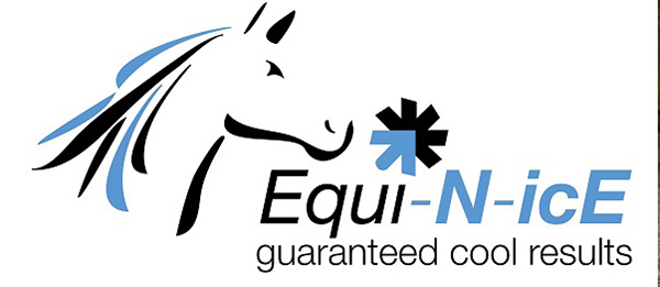 Equinice Logo White
